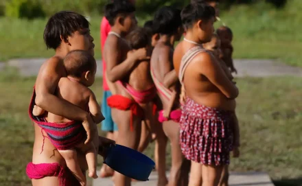 Ribercon - Governo intensifica ações de combate a coqueluche na TI Yanomami